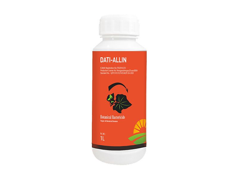 Dati-Allin